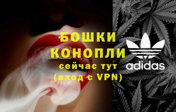 индика Наволоки